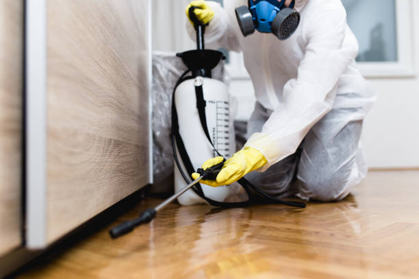 Best Termite Control Services  in Rialto, CA