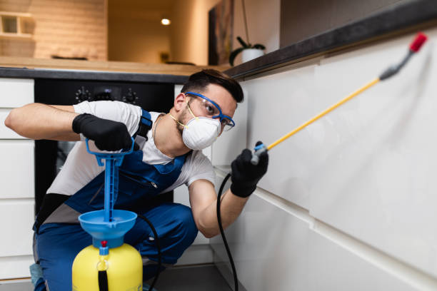 Best Pest Removal Services  in Rialto, CA