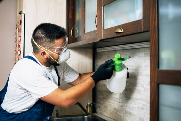 Best Cockroach Control Services  in Rialto, CA