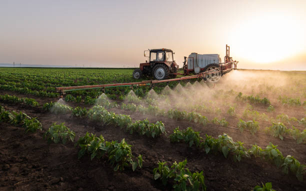 Best Best Pest Control Companies  in Rialto, CA