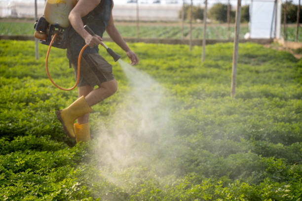 Best Pest Prevention Services  in Rialto, CA