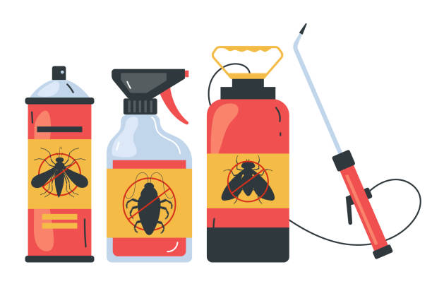 Best Wasp Removal Services  in Rialto, CA