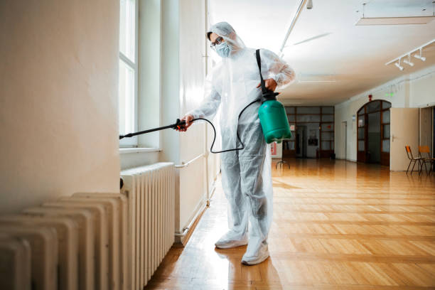 Best Flea Control Services  in Rialto, CA