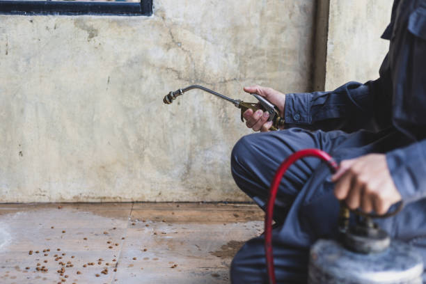 Best Emergency Pest Control  in Rialto, CA